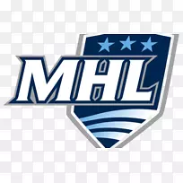 商标字体产品冰球-空若网 商标字体产品冰球-空若网