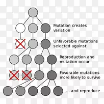 ��������ѧ��Ȼѡ���������ѧ��Ӧ��ѧ-������