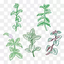 植物茎开花植物叶产品.ABE插图-空若网 植物茎开花植物叶产品.ABE插图-空若网
