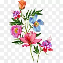 png图片花卉设计剪贴画花卉图像.花-空若网 png图片花卉设计剪贴画花卉图像.花-空若网