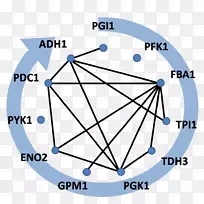 ���г�������������.Abel����-������