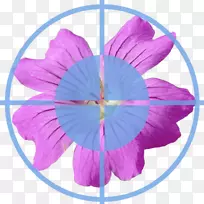 对称紫叶-VP8-空若网 对称紫叶-VP8-空若网