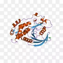 ������ʳƷ-������