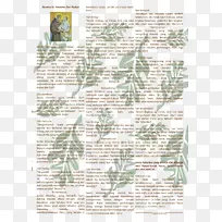 树草-空若网 树草-空若网