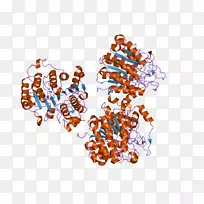 ��Ʒ�л��������ɫS.A.-������