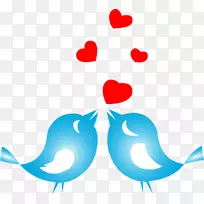 �����ɫ������-����-������