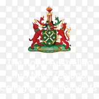 放射科医学新西兰大学医学院-创意蝴蝶-空若网 放射科医学新西兰大学医学院-创意蝴蝶-空若网