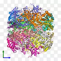 ��ͼͼ���ߵ���-������