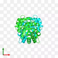 人体珠宝产品字体人体-空若网 人体珠宝产品字体人体-空若网