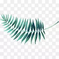 旅游文献叶历险电子邮件-空若网 旅游文献叶历险电子邮件-空若网