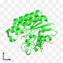 剪贴画产品树线-空若网 剪贴画产品树线-空若网