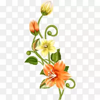 花卉设计切花花束形象-空若网 花卉设计切花花束形象-空若网