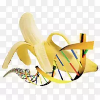 png图片卡车司机帽子形象棒球帽-空若网 png图片卡车司机帽子形象棒球帽-空若网