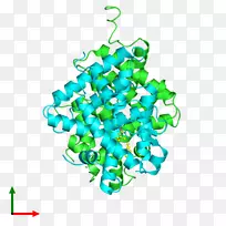线点字体产品车身首饰-空若网 线点字体产品车身首饰-空若网