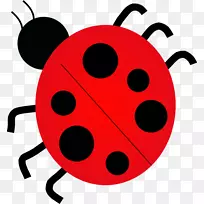 剪贴画瓢虫甲虫自由内容插图昆虫-空若网 剪贴画瓢虫甲虫自由内容插图昆虫-空若网