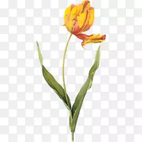 Ñ©·ðÀ¼£¬Óô½ðÏ㣬ֲÎï²åͼ£¬»æ»ÒÕÊõ-ÊÕ²Ø-¿ÕÈôÍø Ñ©·ðÀ¼£¬Óô½ðÏ㣬ֲÎï²åͼ£¬»æ»ÒÕÊõ-ÊÕ²Ø-¿ÕÈôÍø