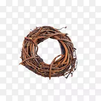 巢透明-空若网 巢透明-空若网