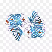 �������廭�ߵ��Ʒ-������