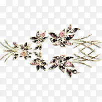 中心博客胸针木兰语-空若网 中心博客胸针木兰语-空若网