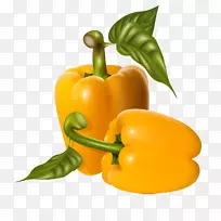 ���������߲˼�����ͼ��.Ӫ��ˮ��-������