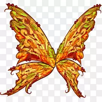 �ڻ����ݵĵ��������ɶ꣬ë���׵ĺ���-����-������