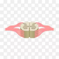 �������˼�������������ϵͳ-������