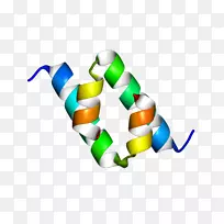剪贴画系列产品车身首饰-空若网 剪贴画系列产品车身首饰-空若网