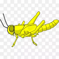 »È³æ¼ôÌù»-³ô³æ-¿ÕÈôÍø »È³æ¼ôÌù»-³ô³æ-¿ÕÈôÍø