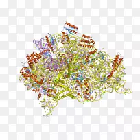 线条艺术点字体-线条2-空若网 线条艺术点字体-线条2-空若网
