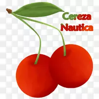 超级食品本地食品橙S.A.天然食品-伊玛目礼萨-空若网 超级食品本地食品橙S.A.天然食品-伊玛目礼萨-空若网