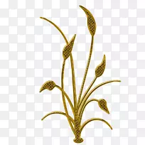 剪贴画花卉图像水彩画png图片.花-空若网 剪贴画花卉图像水彩画png图片.花-空若网