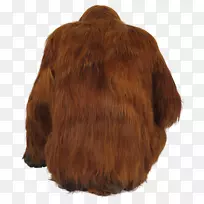 焦糖色棕色皮毛鼻子-猩猩PNG-空若网 焦糖色棕色皮毛鼻子-猩猩PNG-空若网