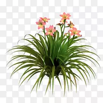 ���벩���л�����-�ٺϻ�-������