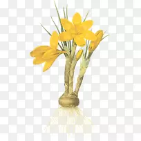 ֲ���ͼˮ�ʻ�.��˹����ķ-������