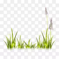 png图片图像剪辑艺术薰衣草绘画.夏草透明背景-空若网 png图片图像剪辑艺术薰衣草绘画.夏草透明背景-空若网