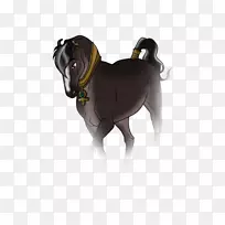 狗繁殖犬带鼻子-敬拜横幅作为避难所-空若网 狗繁殖犬带鼻子-敬拜横幅作为避难所-空若网