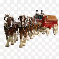 马gif中心博客动画png图片.马-空若网 马gif中心博客动画png图片.马-空若网