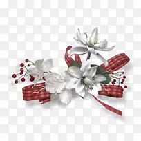 pngͼƬͼƬ���ؼ��������Ĳ���-��������-������