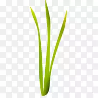 叶图形植物茎草花叶-空若网 叶图形植物茎草花叶-空若网