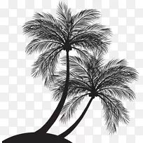 棕榈树剪贴画剪影图像图形.剪影-空若网 棕榈树剪贴画剪影图像图形.剪影-空若网