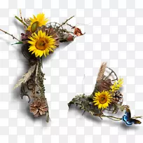 ͼƬpngͼƬ»¨»ÜÉè¼Æ»¿ò.-¿ÕÈôÍø ͼƬpngͼƬ»¨»ÜÉè¼Æ»¿ò.-¿ÕÈôÍø