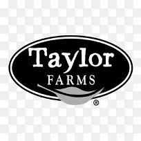 标志产品设计品牌字体-空若网 标志产品设计品牌字体-空若网