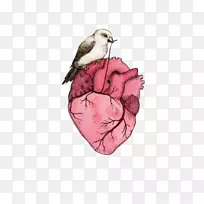 水彩画:花卉水彩画山水画-空若网 水彩画:花卉水彩画山水画-空若网