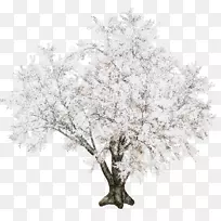 小树枝png图片圣诞节白雪树-空若网 小树枝png图片圣诞节白雪树-空若网
