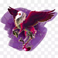 猛禽嘴紫鸟-空若网 猛禽嘴紫鸟-空若网