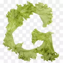 生菜信食品蔬菜png图片.蔬菜-空若网 生菜信食品蔬菜png图片.蔬菜-空若网
