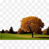 秋季桌面壁纸图片夏秋-空若网 秋季桌面壁纸图片夏秋-空若网