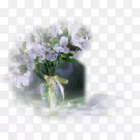 花卉设计植物春季框架植物-空若网 花卉设计植物春季框架植物-空若网