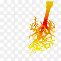 �����������벡���Ʒ�.���ձ���-������