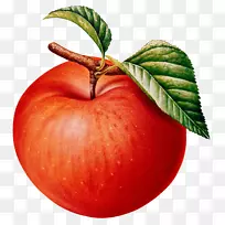 ������ͼ���ͼƻ��ͼ��.ƻ��-������